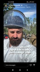 pulizia intorno agli alberi