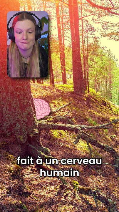 3600 secondes