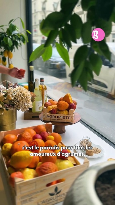 Adresse : L'Agrumiste