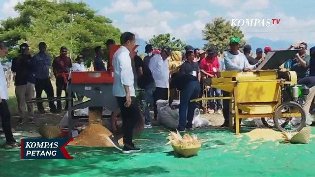 Kaesang Pangarep 'Turun Gunung' Bantu Kader di Pilkada, Presiden Jokowi: Urusan PSI