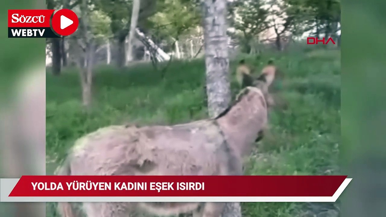 Yolda yürürken eşek ısırdı