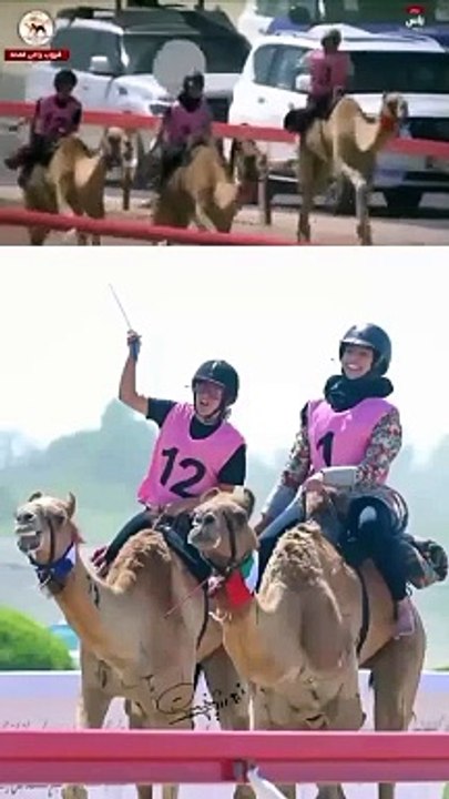 Aude, jockey de dromadaire