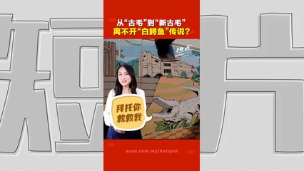 新古毛的兴衰揭秘：锡矿开发引发的水灾与迁址故事🔍