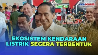 Jokowi Ungkap Pabrik Industri Baterai Listrik Bakal Beroperasi Bulan Depan