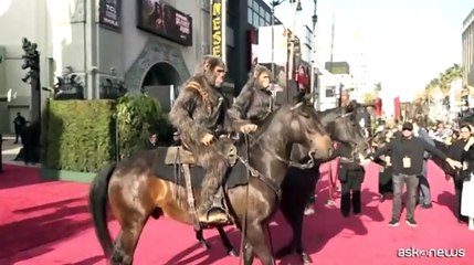 A Los Angeles la premi?re de "Il regno del pianeta delle scimmie"