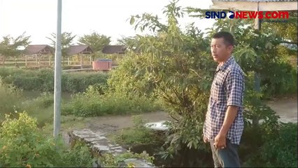 Descargar video: Puluhan Ikan Ditemukan Mati Mendadak Akibat Air Muara Sungai Marana di Maros Sulawesi Selatan Berubah Warna