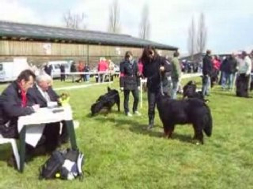 Expo nevers 2008