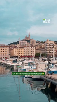 Plongez dans l'ambiance chaleureuse et authentique du restaurant Il Trio à Marseille ! Découvrez un voyage culinaire méditerranéen avec nos délicieuses spécialités préparées avec passion et savoir-faire. Chaque bouchée est une explosion de sa