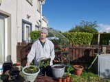 Potting up floral seedling displays: Gardening With Brendan