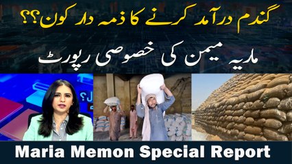 Gandum Daraamad Karne Ka Zimma Dar Kon?? Maria Memon Ki Khusoosi Report