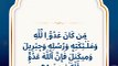 Quran surah Al baqarah verse 98