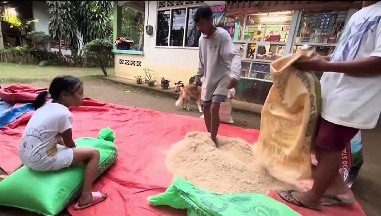 Animal Feeds 1