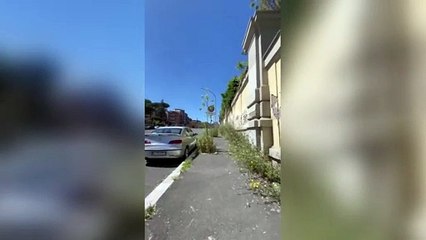 Roma Portuense, ecco il marciapiede-giungla con le erbacce alte un metro
