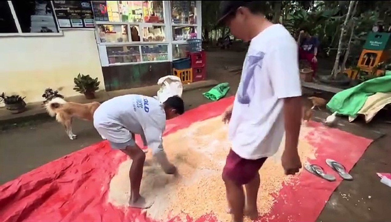 Animal Feeds 2