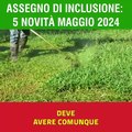 ASSEGNO DI INCLUSIONE: 5 AGGIORNAMENTI DI MAGGIO 2024 PUC SERVIZI SOCIALI, SIISL PAGAMENTI E DECRETO