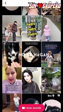 ¿Cómo surgió el éxito Pedro, Pedro, Pedro y cuál es el significado de la letra?