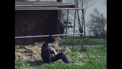 Mouton Bande-annonce (EN)