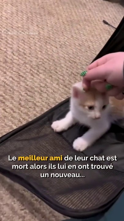 Le câlin à la fin m'a fait craquer 
