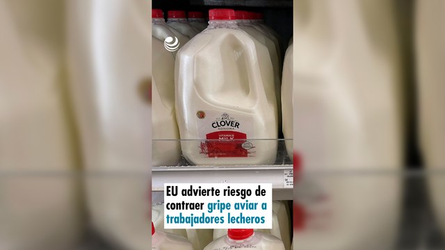 EU advierte riesgo de contraer gripe aviar a trabajadores lecheros