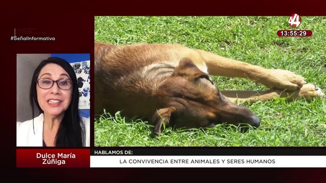 La convivencia entre animales y seres humanos: Dulce María Zúñiga