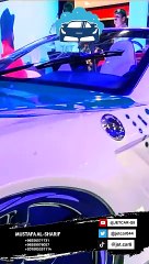 Dubai Police includes a diverse fleet of water vehicles