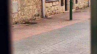 Proliferan las ratas en los barrios de Burgos