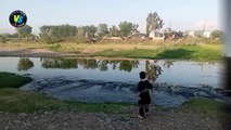 Exploring the Serene Charms of My Green Village: Small River Delights | Khyber Pakhtunkhwa, Pakistan