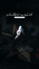 Nabi Pak  ﷺ Ne ek dafa farmaya ke 5 batien Ajmal Raza Qadri Bayan status_islamic _shorts(360P)