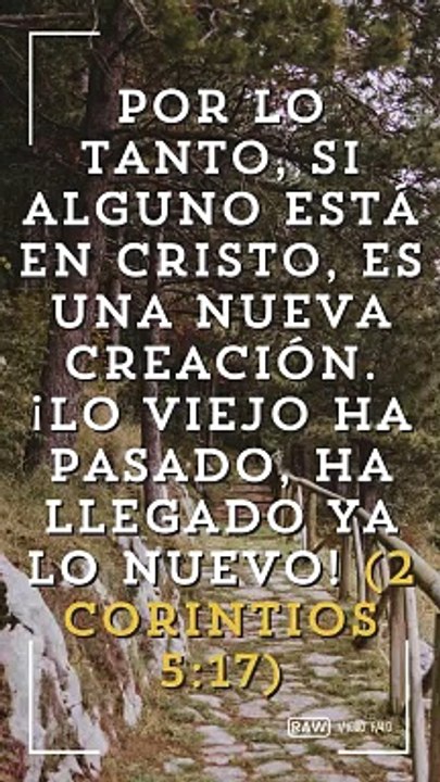 La palabra de Dios, Reflexiones de versículos de la biblia.