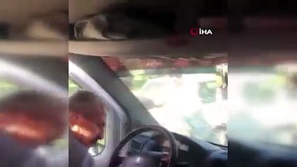 Antalya’da trafik ortasında öğrenci servisine demir sopalı saldırı