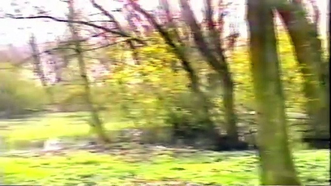 C'est arrivé près de chez nous ! - VJ Steve Austin [L*A*M]