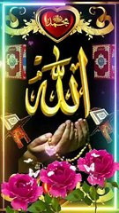 Islamic stutas video's