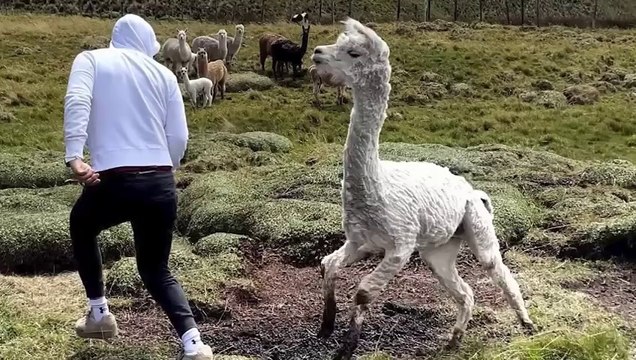 INSTANT REGRET That Had Me Laughing Out Loud | Funny Videos