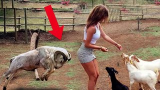 Incredible Things Caught On Camera