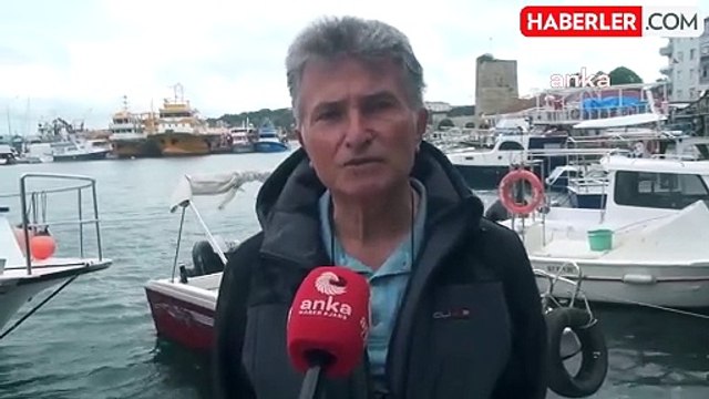 Veteriner Hekimler Özlük Hakları ve Sağlıkta Şiddet Yasası İstiyor