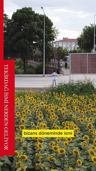 TEKİRDAĞ İSMİ NERDEN GELİYOR ?  #keşfet #tekirdağ  #tarihi #tarih #tekirdağköftesi #çorlu #şarköy