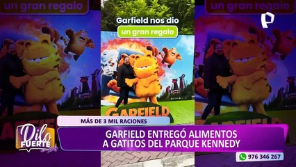 "Garfield" entregó alimentos a los gatitos del Parque Kennedy
