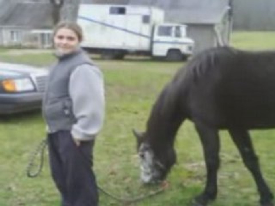 Rock and roll je t'aime