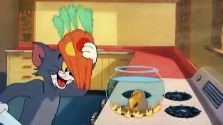 Tom and Jerry - Jerry dan Ikan Emas(Jerry and the Goldfish, bahasa indonesia sub)