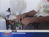 Fantôme djin à la faculté de la Réunion