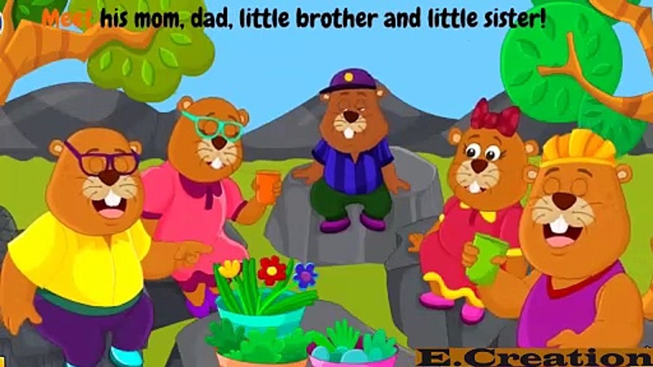 Beaver