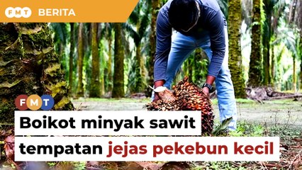 Boikot minyak sawit tempatan jejas pekebun kecil, kata persatuan