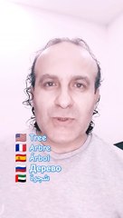 Tree Arbre Árbol Дерево شجرة