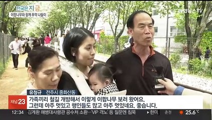 봄나무 내려 앉은 하얀 눈…전주 이팝나무 철길 개방