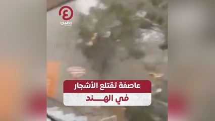 عاصفة تقتلع الأشجار في الهند