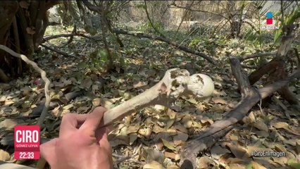 Panteón Dolores tiene la mayor fosa de personas desaparecidas en México