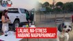 Lalaki, na-stress habang nagpapahinga?! | GMA Integrated Newsfeed