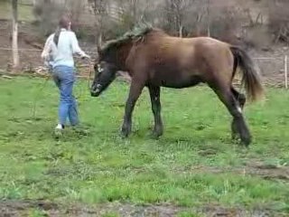 ravageur exercice : reculer au mvt