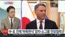 [한반도 브리핑] 결국 SM-3 도입키로…'한국형 미사일방어'vs '미 체제 편입'