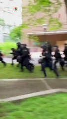 قمع وحشي يتعرض له طلاب جامعة بورتلاند الأمريكية المؤيدين للفلسطينيين